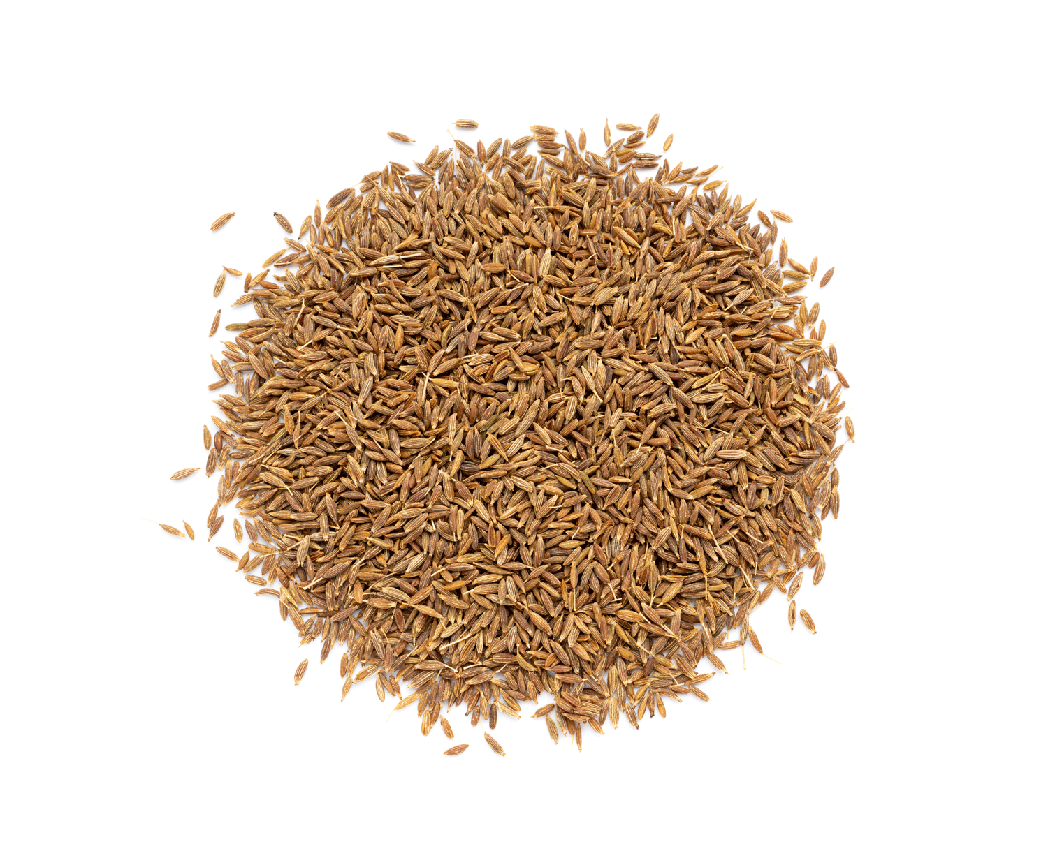 Graines de cumin
