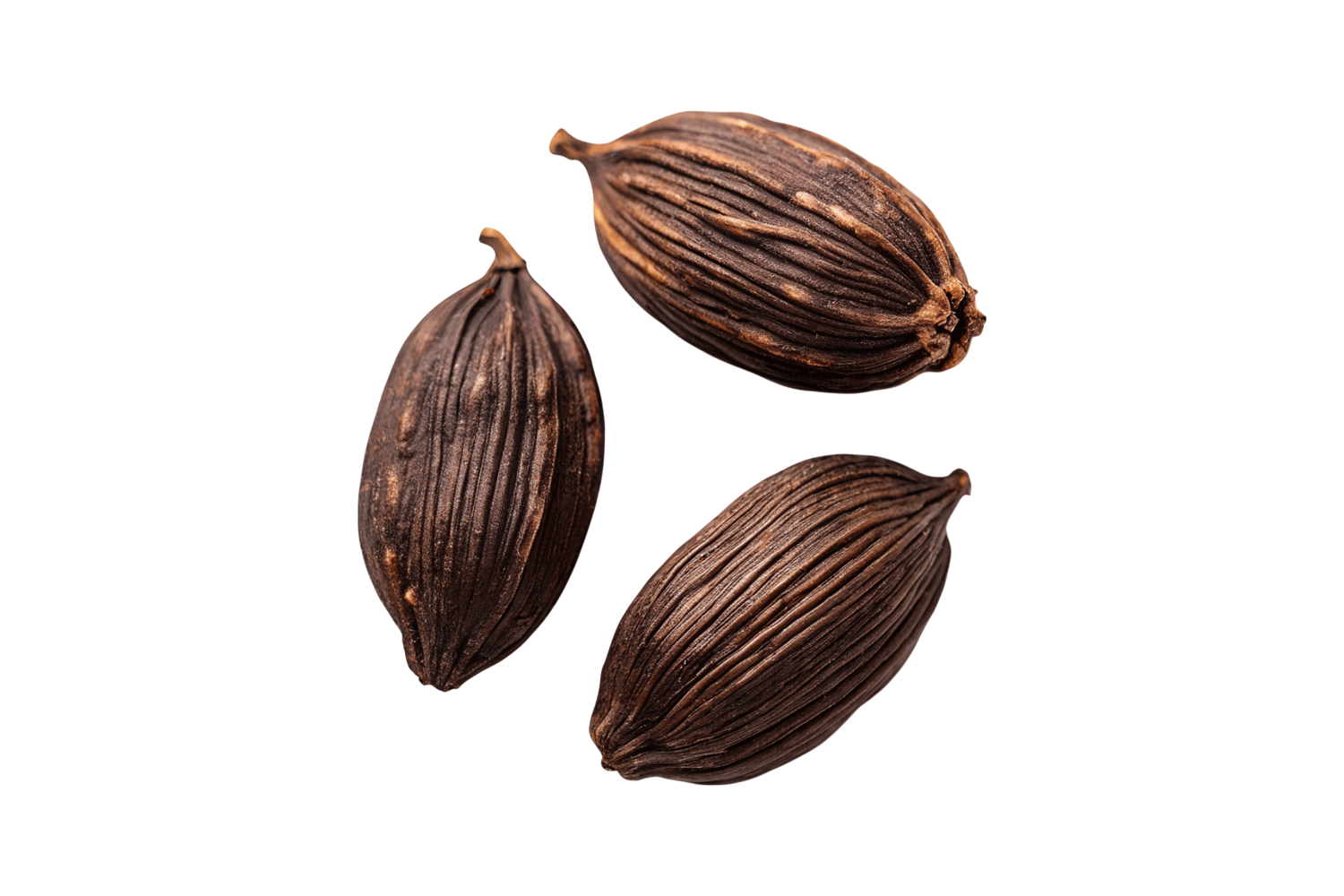 Cardamone
