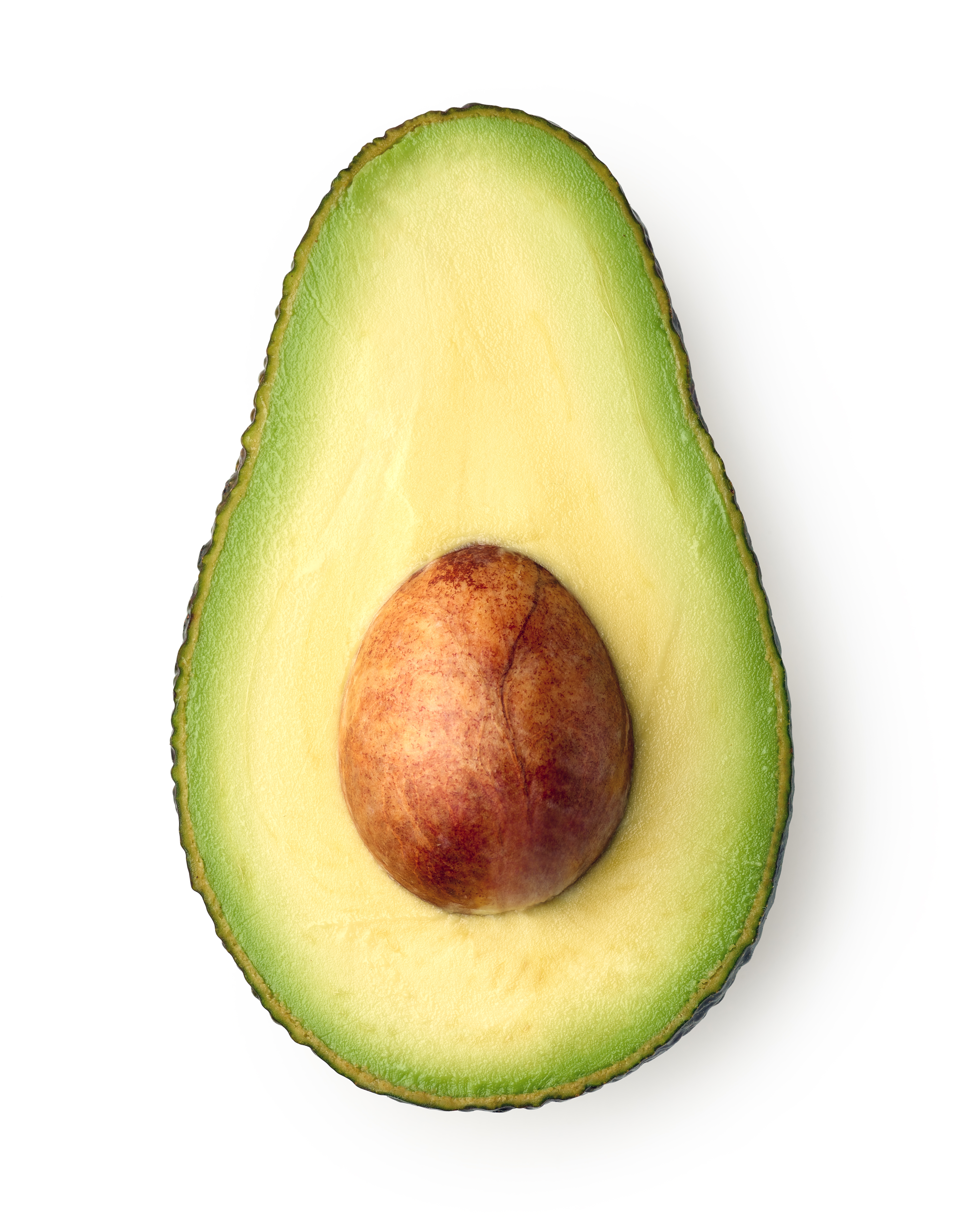 Avocat