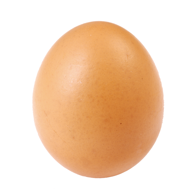 Oeuf