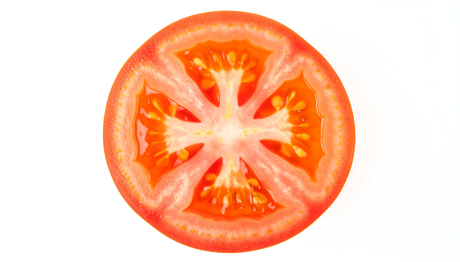 Pulpe de tomates